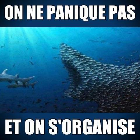 Comme guérir petit prychtchiki sur le membre sexuel